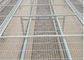 2x2 galvaniseerde de Gelaste Bestand Erosie van Draadmesh panels for raised beds