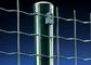 SGS Pvc Met een laag bedekt Holland Wire Mesh Fence Welded Mesh Rolls For Yard Weather Bewijs