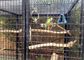 Niet het roesten Gelast Netwerk 10m30m van Mesh Zoo Animal Enclosure Wire van de Staaldraad