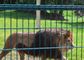 Niet het roesten Gelast Netwerk 10m30m van Mesh Zoo Animal Enclosure Wire van de Staaldraad