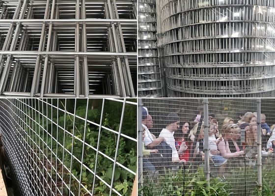 Hoge corrosiebestendig gespannen gaasrolletjes Duurzaam Verschillende kleuren