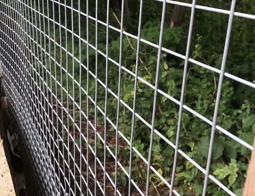 Duurzame warm gedompelde gegalvaniseerde gelaste gaasrolletjes voor dierenkooien