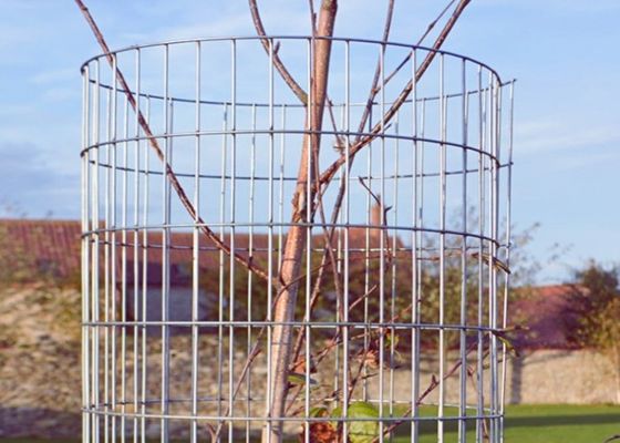 Puntlassen techniek voor gelast gaas met aanpasbare breedte en elektrolytisch verzinkt oppervlak voor duurzame bescherming