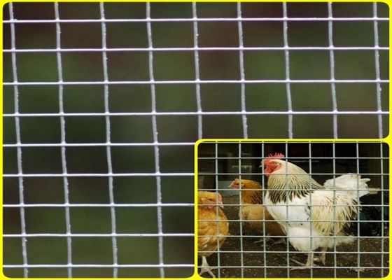 1/2 ' X 1/2“ Roestvrij staal Gelast Mesh Rolls For Breeding Protection Met hoge weerstand