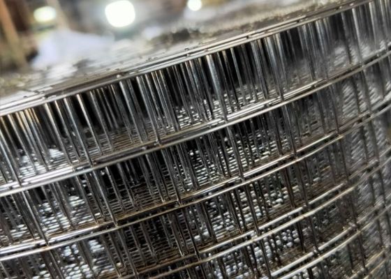 Groene gegalvaniseerde gelaste gaasrolletjes voor betonnen versterking