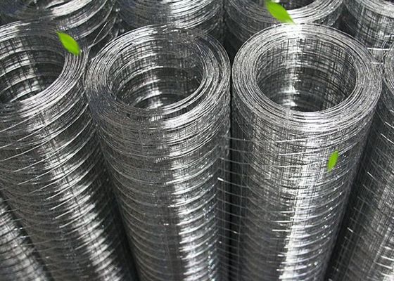 Warm gedip galvaniseerde gelaste gaasrol 30M voor vogels